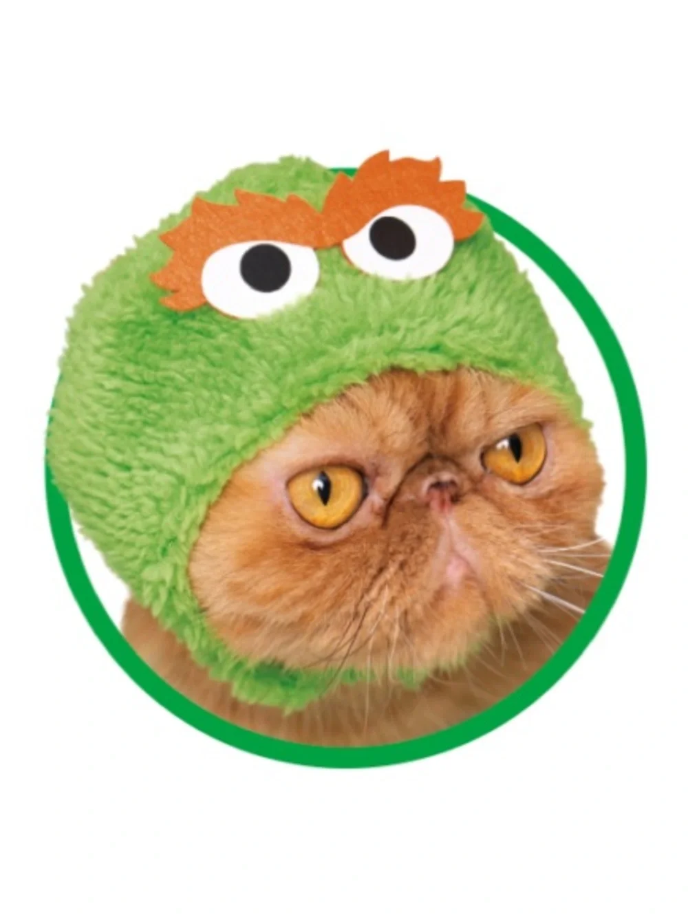 Japan Gashapon Sesame Street pet Costume Hat -Price for one
